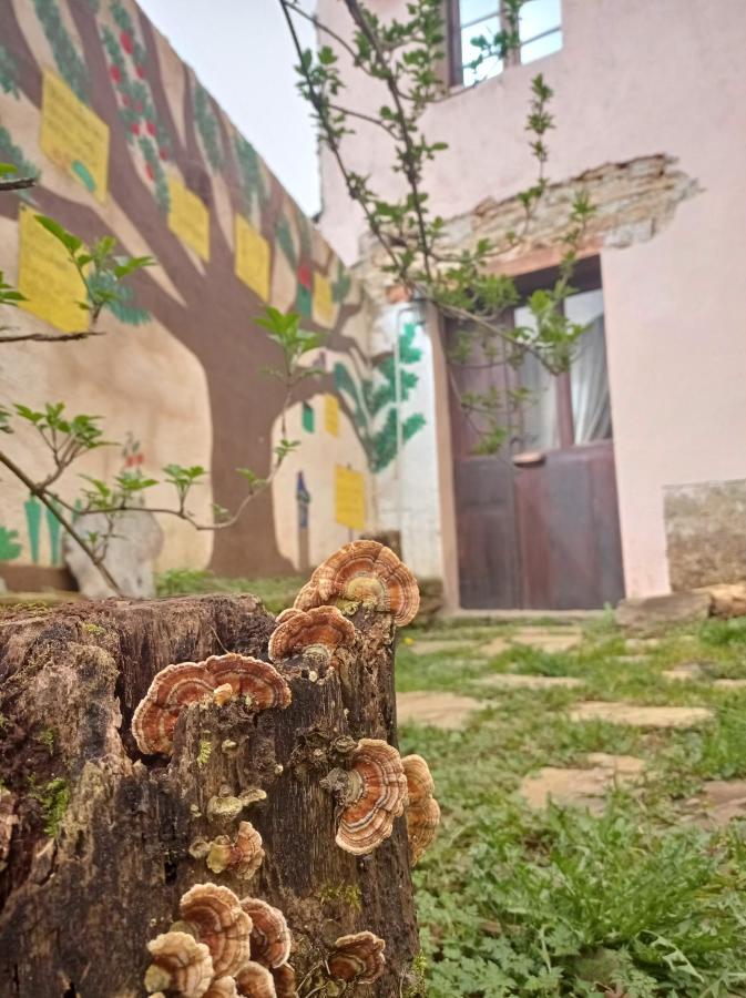 Albergue Eco El Beso - Vegano Триакастела Экстерьер фото